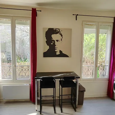 Comfy Parisian Studio!