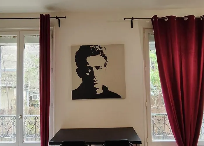 Comfy Parisian Studio!